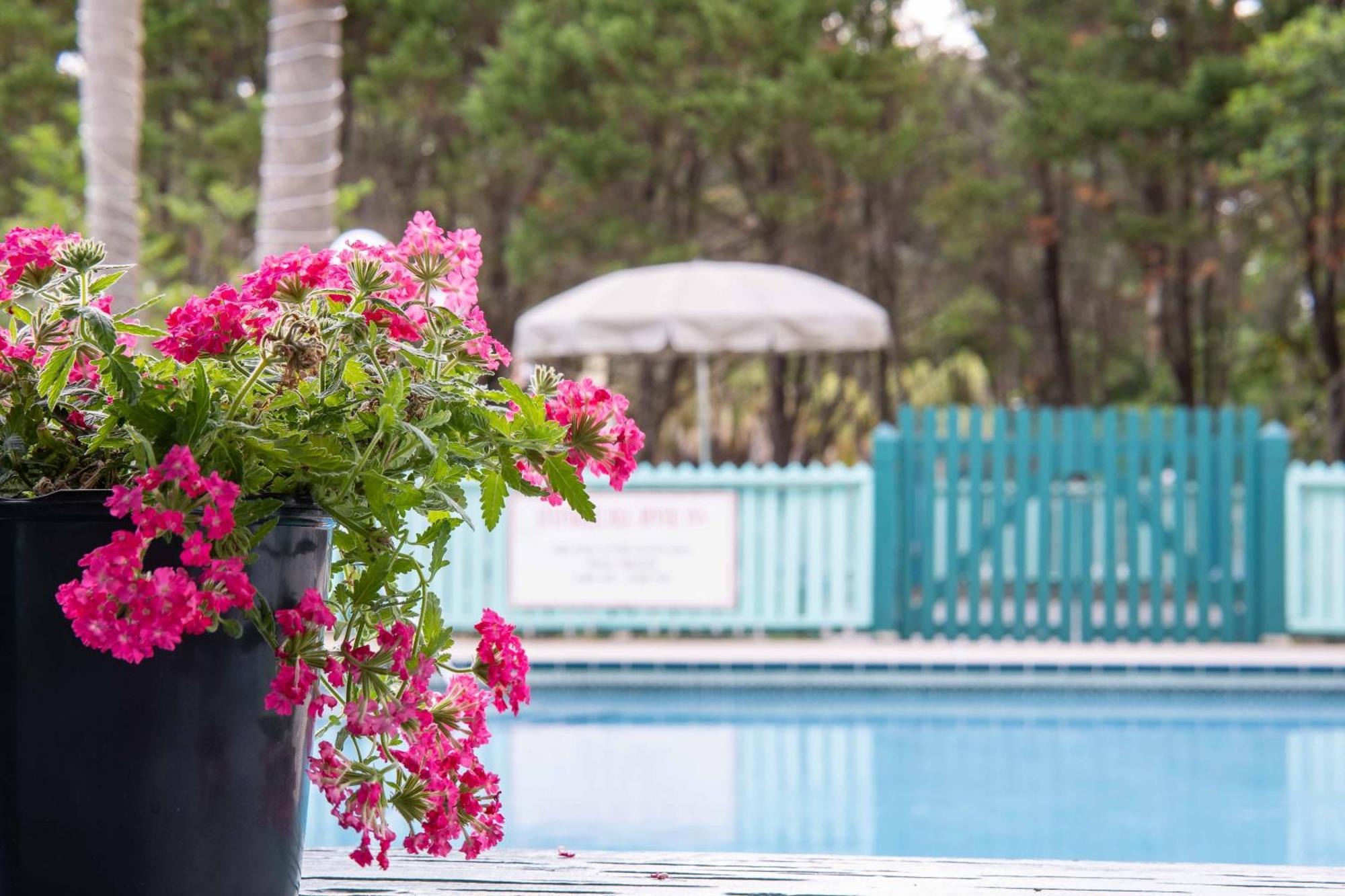Steinhatchee River Inn And Marina Luaran gambar